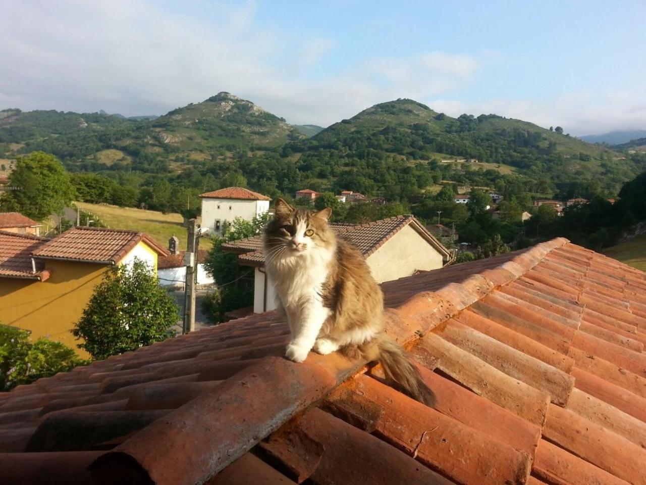 Posada El Pareon Sirviella Esterno foto
